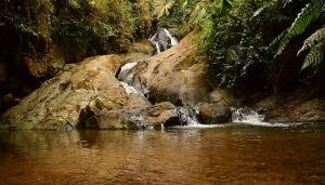 Plataforma digital "jamundi.vive.gov.co" en pantalla con mapa y fotos de atracciones turísticas, balnearios y montañas de Jamundí.