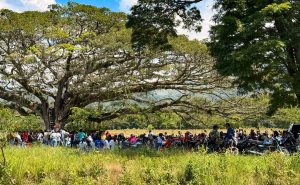 Integrantes del Resguardo Indígena de Huellas y funcionarios de la URT en jornada de concertación para proyectos productivos en Caloto, Cauca.
